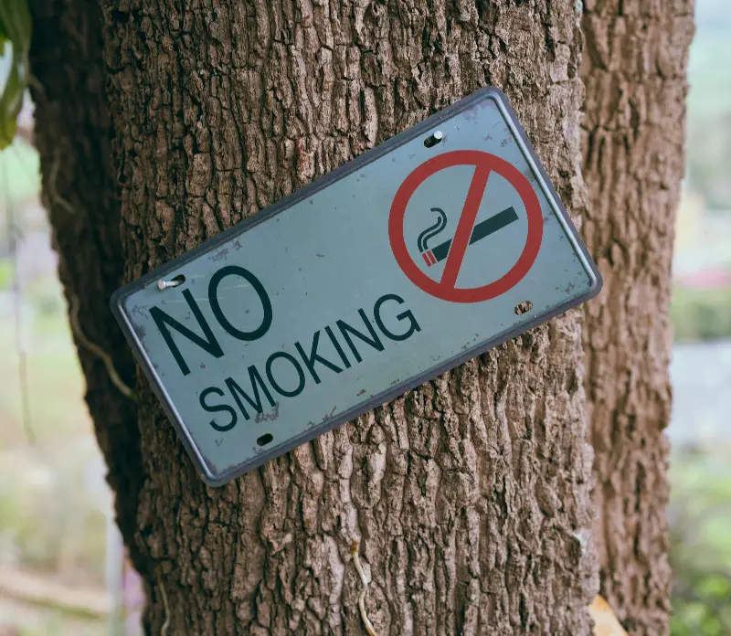 A No Smoking Signage on a Tree